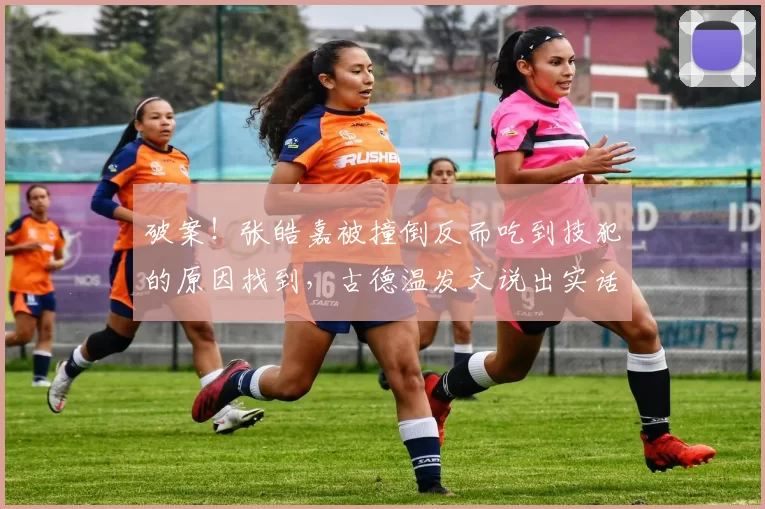 破案！张皓嘉被撞倒反而吃到技犯的原因找到，古德温发文说出实话