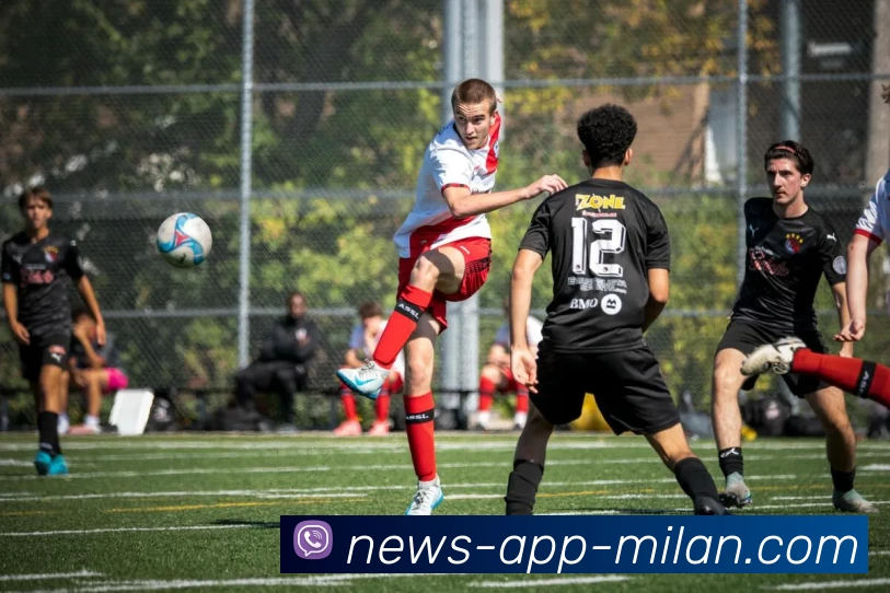 多媒体互动体验